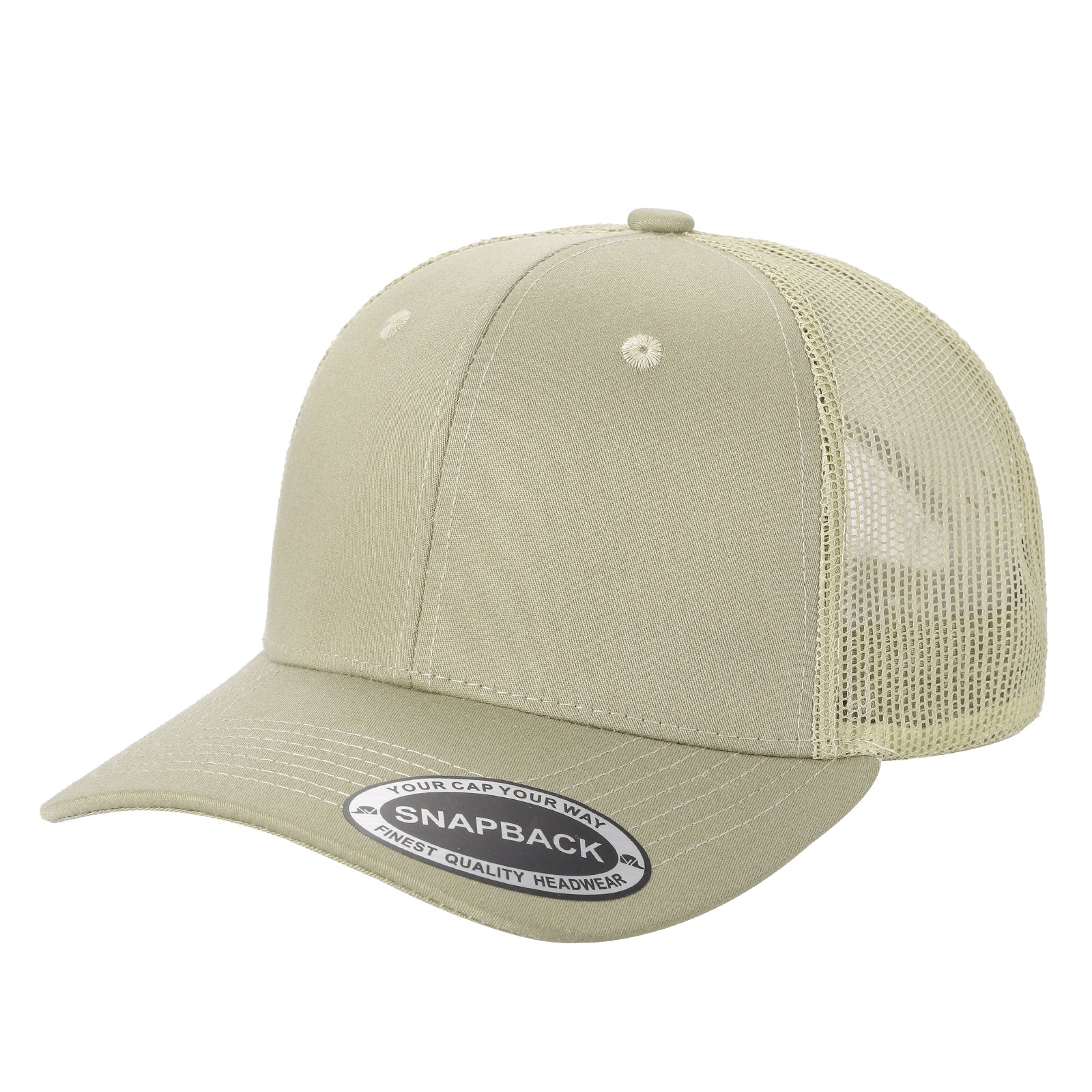 6 Panel Cap